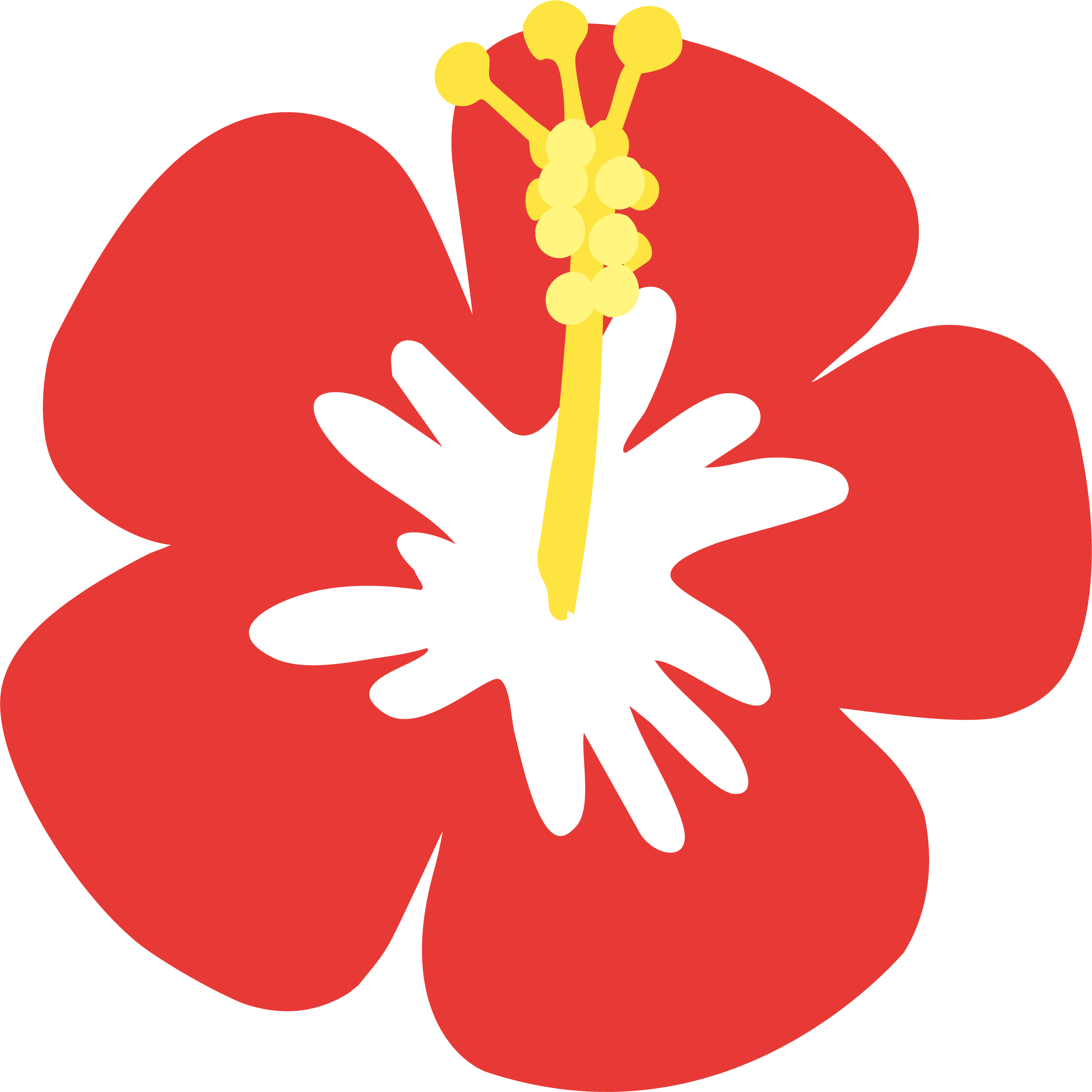 ハイビスカス
